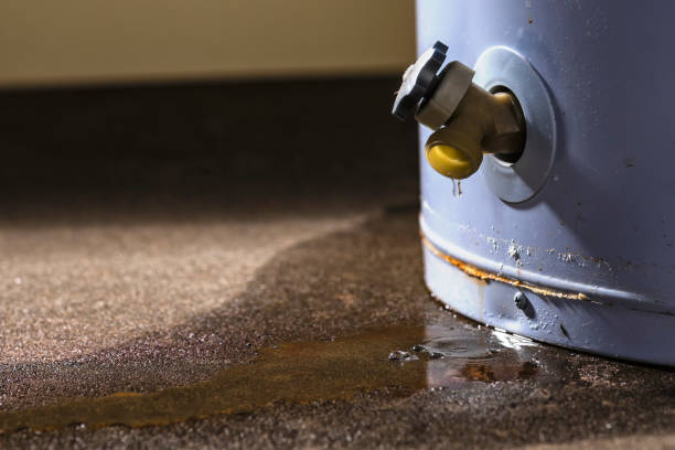 Best 24-hour water damage restoration  in Pearl River, LA
