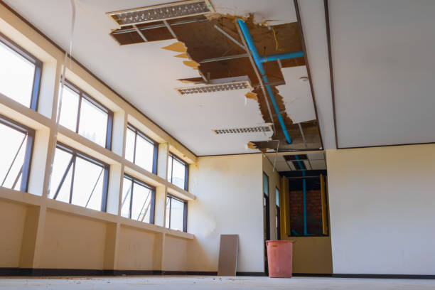 Best Water damage restoration near me  in Pearl River, LA