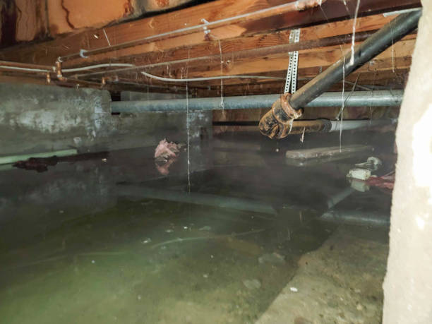Best 24/7 water damage repair  in Pearl River, LA