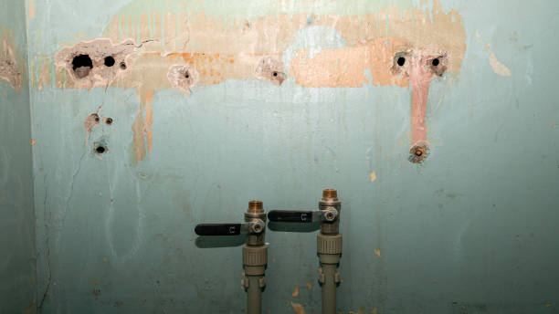 Best Sewage cleanup and water damage restoration  in Pearl River, LA