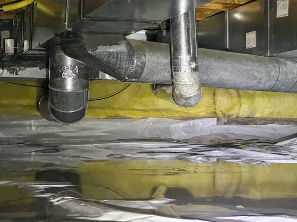  Pearl River, LA Water damage restoration Pros