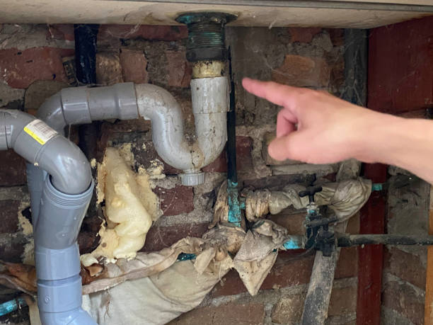 Best Carpet water damage restoration  in Pearl River, LA