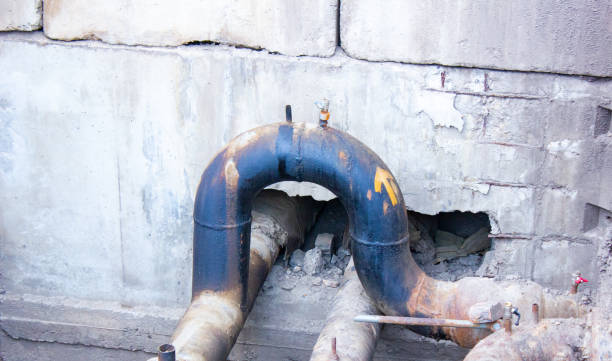 Best Flood damage cleanup  in Pearl River, LA