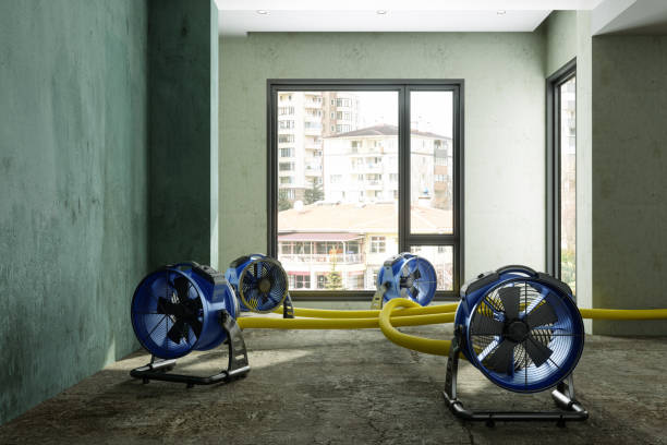Best Residential water damage restoration  in Pearl River, LA
