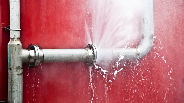 Best Professional water damage repair  in Pearl River, LA